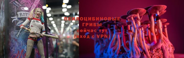 apvp Арсеньев