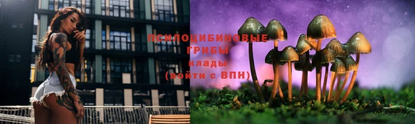 ALPHA PVP Алексин