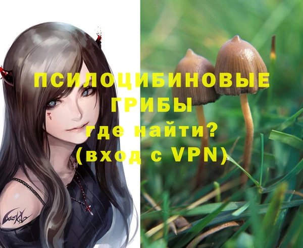 герыч Надым