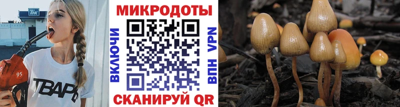 Псилоцибиновые грибы Cubensis  Таруса 